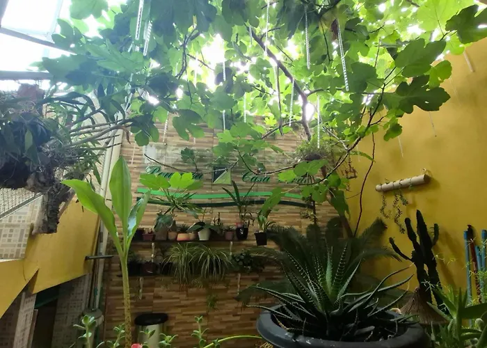 Pousada Casa Verde Aparecida 